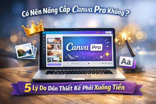 Có Nên Nâng Cấp Canva Pro Không? 5 Lý Do Dân Thiết Kế Phải Xuống Tiền